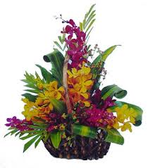 20 orchids basket