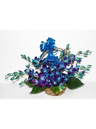 15 blue orchids basket