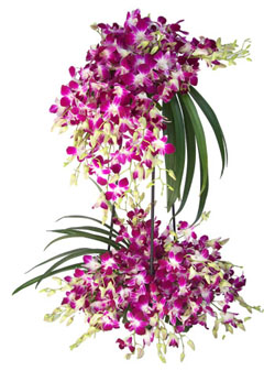 20 orchids 2 tier arrangement