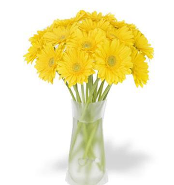 36 Yellow gerberas vase