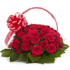 18 red roses basket