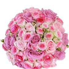 75 shades of pink roses bouquet