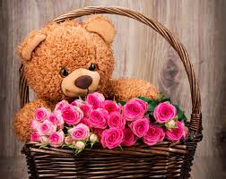 20 pink roses with 1 foot teddy bear arranged in a basket