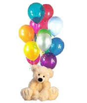 1 feet teddy with 12 air filled balloons