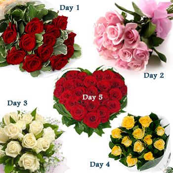 Day-1 12 yellow roses Day-2 12 pink roses Day-3 12 white Roses Day-4 12 yellow roses Day-5 24 Red roses heart