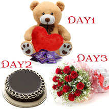 Day-1 Teddy 6 inch Day-2 1/2 kg chocolate cake Day-3 12 Red roses