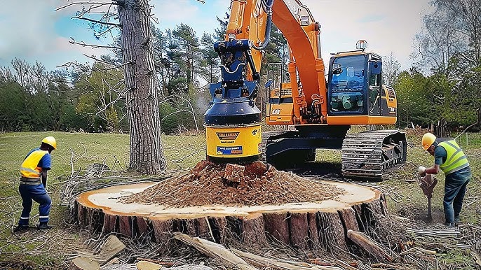 How Stump Grinding Sydney Services Can Save You Time and Money