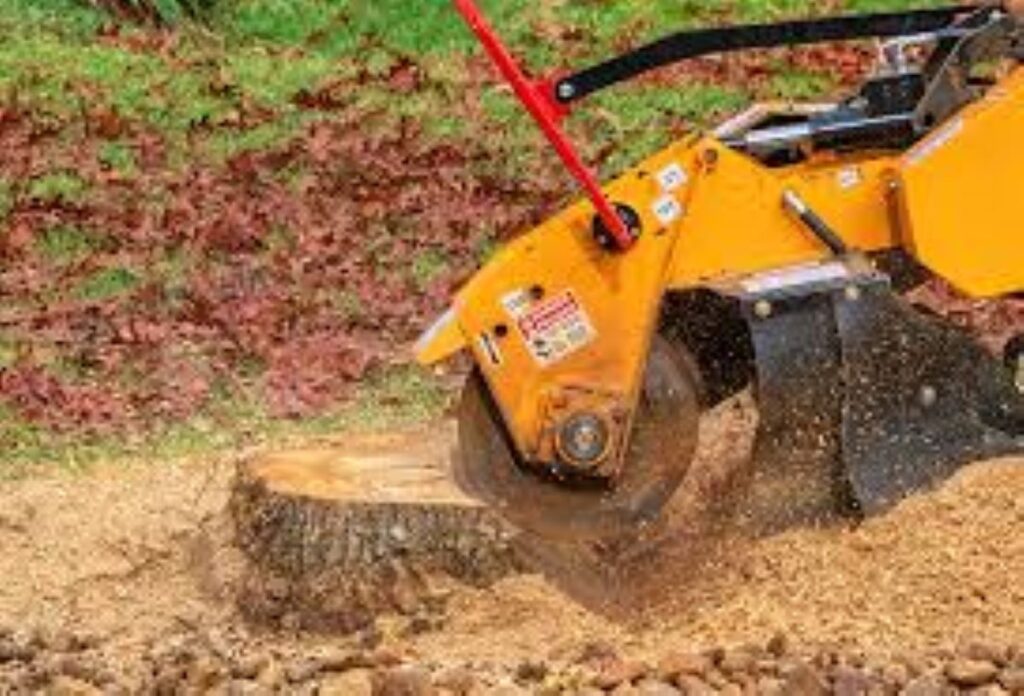Stump Grinding Sydney